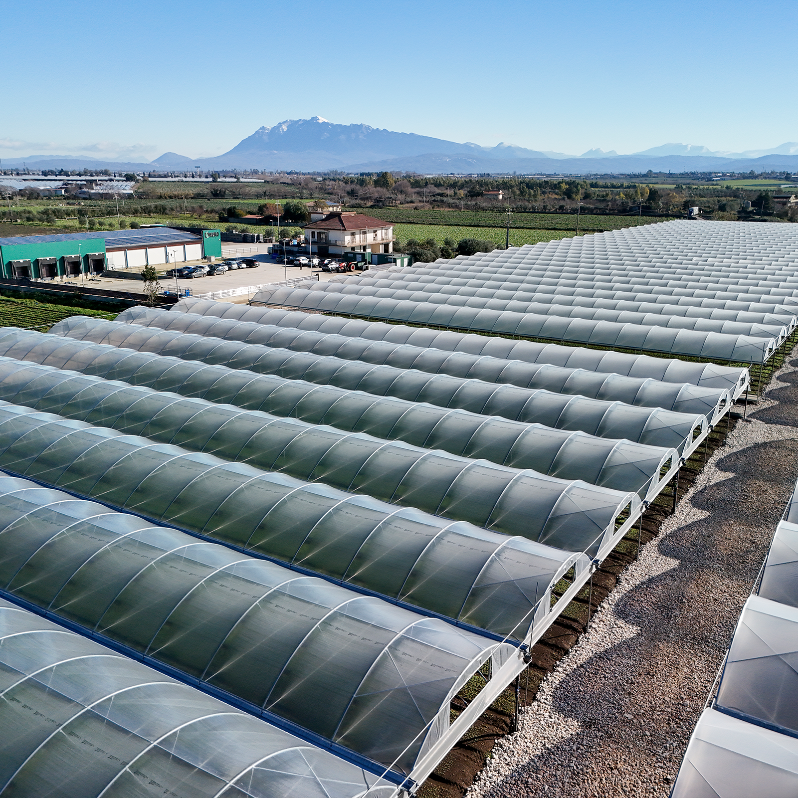 L'azienda KU.BO tra serre e coltivazioni in campo aperto