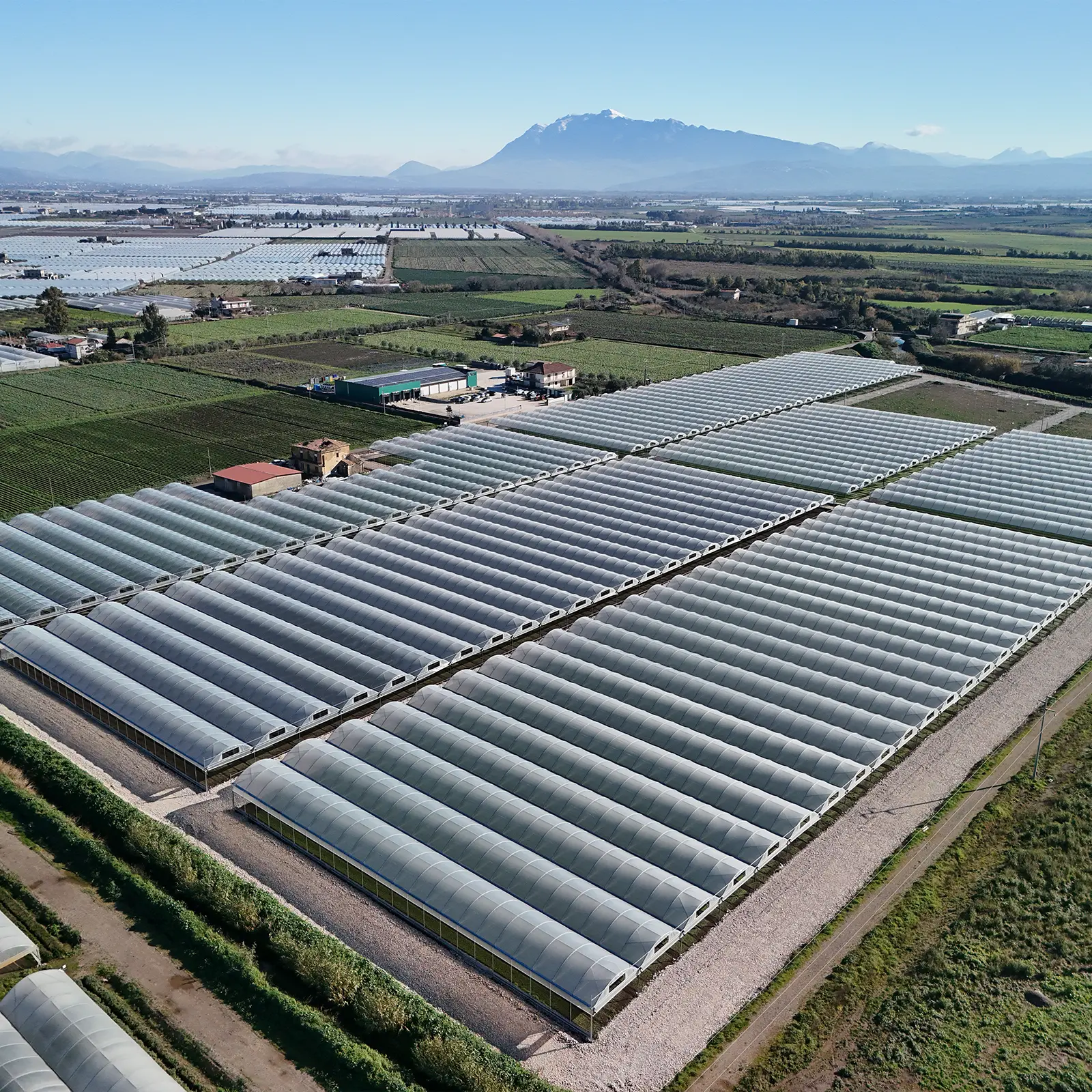 Panoramica dell'azienda agricola consortile KU.BO: l'azienda, dalle pareti verdi e con pannelli fotovoltaici sul tetto, è posizionata tra serre e coltivazioni in campo aperto